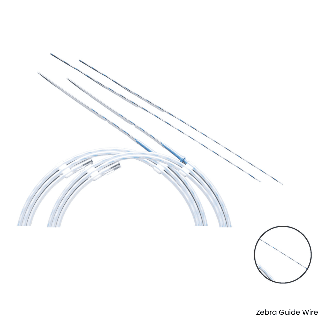 Zebra Guide Wire-urology series